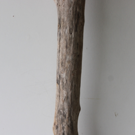 Treibholz Schwemmholz Driftwood 1  MEGA  Ast  Garderobe 140cm 