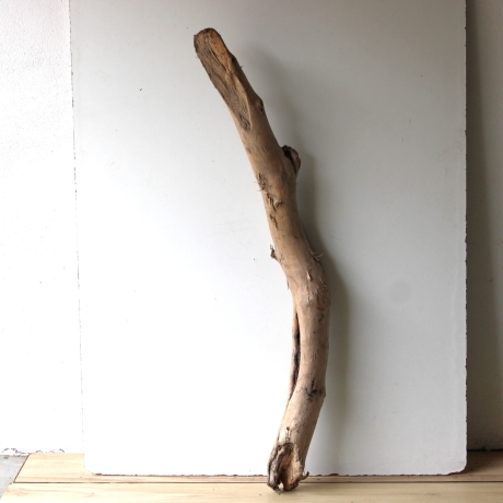 Treibholz Schwemmholz Driftwood 1 XXL Stamm  Terrarium 117  cm 