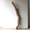 Treibholz Schwemmholz Driftwood 1 XXL Stamm  Terrarium 117  cm 