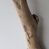 Treibholz Schwemmholz Driftwood 1 XXL Stamm  Terrarium 117  cm 