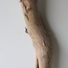 Treibholz Schwemmholz Driftwood 1 XXL Stamm  Terrarium 117  cm 