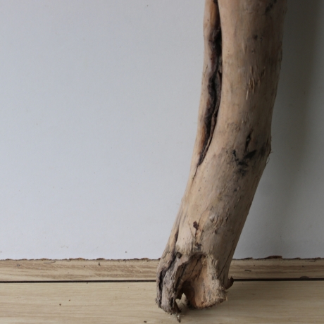 Treibholz Schwemmholz Driftwood 1 XXL Stamm  Terrarium 117  cm 