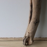 Treibholz Schwemmholz Driftwood 1 XXL Stamm  Terrarium 117  cm 