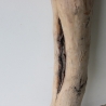 Treibholz Schwemmholz Driftwood 1 XXL Stamm  Terrarium 117  cm 