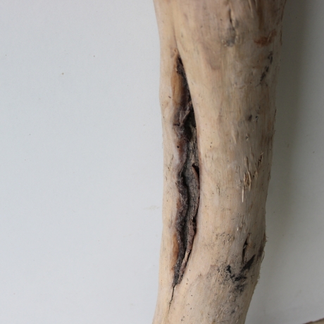 Treibholz Schwemmholz Driftwood 1 XXL Stamm  Terrarium 117  cm 
