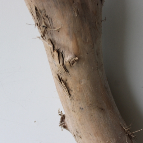 Treibholz Schwemmholz Driftwood 1 XXL Stamm  Terrarium 117  cm 