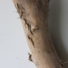 Treibholz Schwemmholz Driftwood 1 XXL Stamm  Terrarium 117  cm 