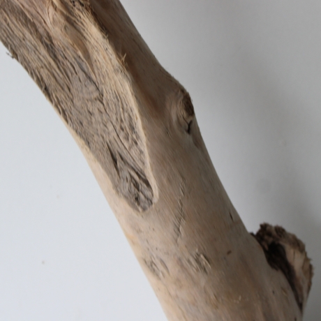 Treibholz Schwemmholz Driftwood 1 XXL Stamm  Terrarium 117  cm 