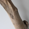 Treibholz Schwemmholz Driftwood 1 XXL Stamm  Terrarium 117  cm 