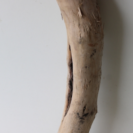 Treibholz Schwemmholz Driftwood 1 XXL Stamm  Terrarium 117  cm 