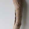Treibholz Schwemmholz Driftwood 1 XXL Stamm  Terrarium 117  cm 