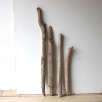 Treibholz Schwemmholz Driftwood 4 XL  Äste  56  - 100 cm  