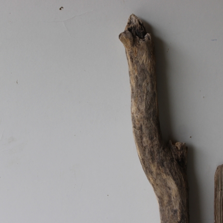 Treibholz Schwemmholz Driftwood 4 XL  Äste  56  - 100 cm  