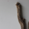 Treibholz Schwemmholz Driftwood 4 XL  Äste  56  - 100 cm  