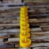 60 mini (lose)Teelichter aus Bienenwachs inkl. 1 Glasschale