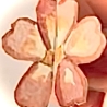 Lesezeichen Flowers