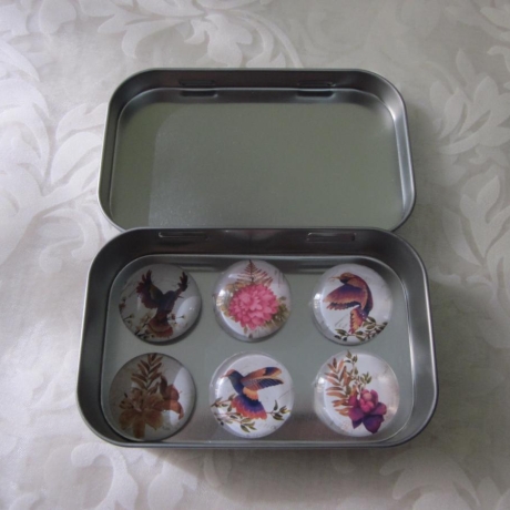 6er Set Magnete Blumen Vogel Motive Dahlie