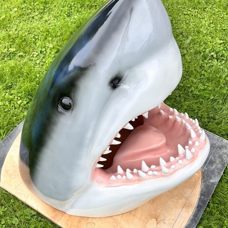 Großer Haikopf, beeindruckende Dekoration. 82 cm.