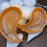 Schälchen Engelsflügel neu Harz Handmade Unikat 