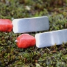 Opulente Korallen-Nugget-Edelstahlstecker in marmoriertem Rot