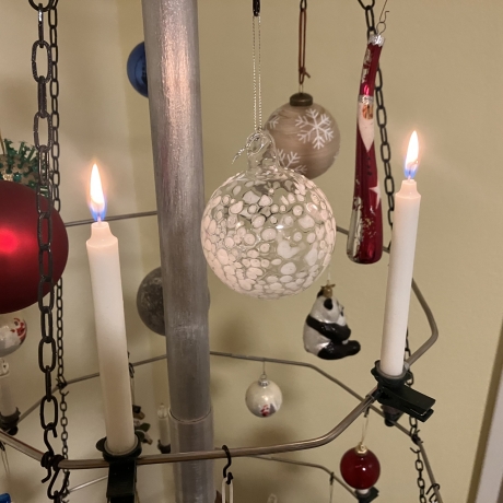 Weihnachtsbaum nachhaltig 230 cm hoch