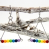 Polaris-Kugeln-Edelstahlcreolen in leuchtenden Regenbogenfarben