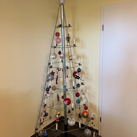 Weihnachtsbaum nachhaltig 230 cm hoch