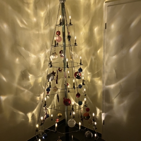 Weihnachtsbaum nachhaltig 230 cm hoch