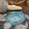 Maritime Deko Neu Resin 3teilig Muscheln und Schildkröte 
