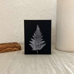 Geschenk-Box • Schmuck-Schachtel • Farn • schwarz