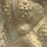 Mystische Fantasy-Dekoration in schimmernden Pastellfarben