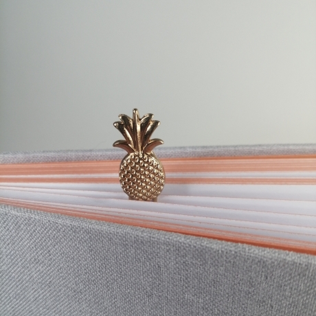 Büroklammern/Paper Clips - Ananas