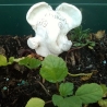Ceramic Elephant flower plugs handmade