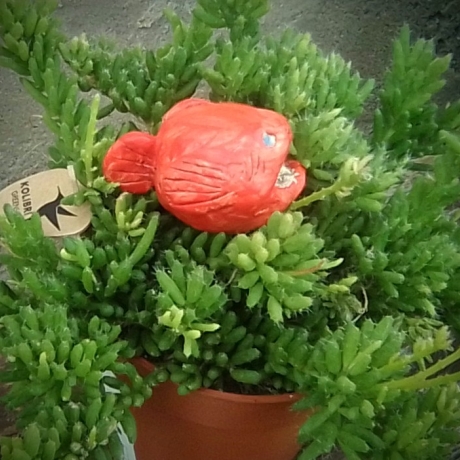 ceramic flower plugs deep sea frogfish