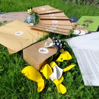 Bienen-Abenteuerbox - Komplett geplanter Tag mit Kindern