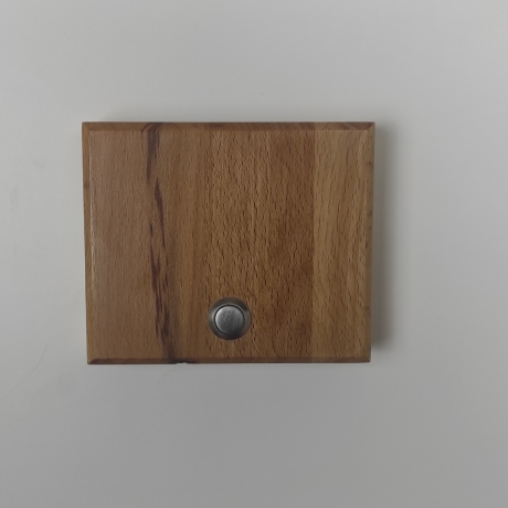 Klingelschild aus Holz / Klingelschild personalisiert