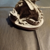 Liegender Drache