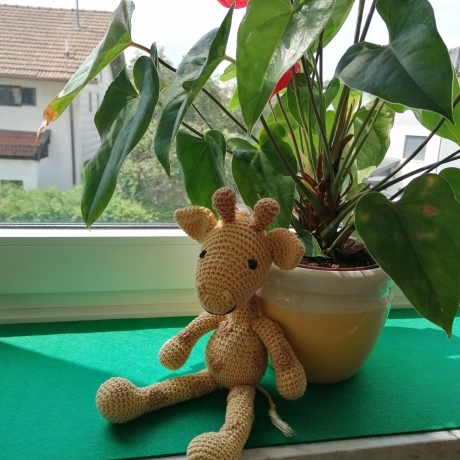 Kuscheltier Giraffe gehäkelt als Geschenk für Geburtstag und Co 