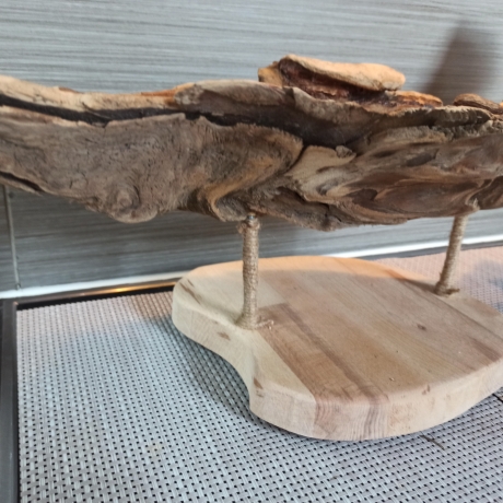 Obstschale schwebend aus Treibholz