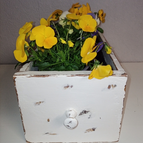 Blumentopf, Pflanzkasten, Echtholz, shabby, upcycled