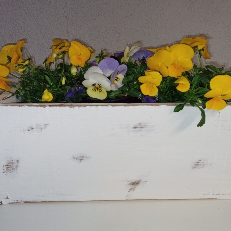 Blumentopf, Pflanzkasten, Echtholz, shabby, upcycled