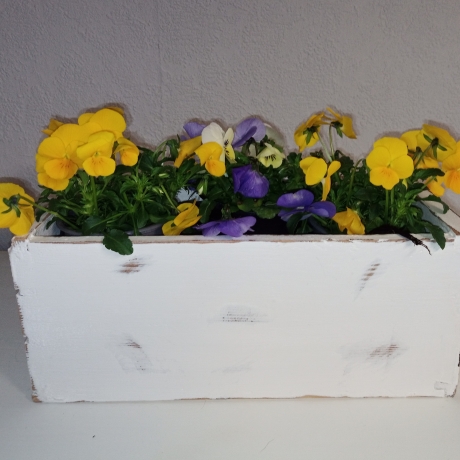 Blumentopf, Pflanzkasten, Echtholz, shabby, upcycled