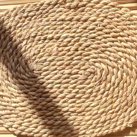 Platz Set aus Palmenblätter