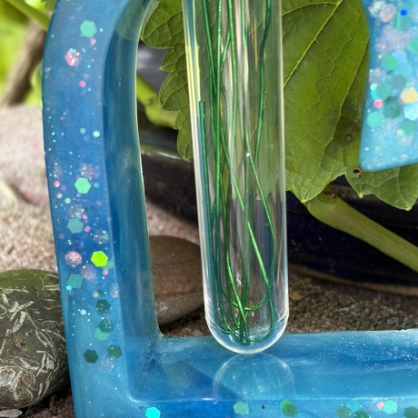Herzvase aus Epoxidharz mit Kunststoff-Reagenzglas – Handmade 