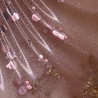 Handgemachte Seifenschale Muschel aus Epoxidharz  Rosa Gold Klar 