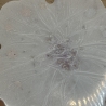 Untersetzer aus Epoxidharz – Blütenform in Creme & hellem Flieder