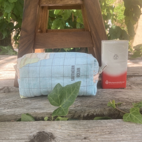 Boxy Bag  | Weltkarte Hellblau | gesteppt  | Taschenorganizer