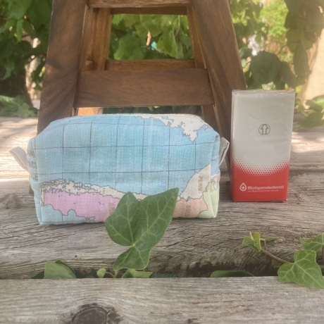 Boxy Bag  | Weltkarte Hellblau | gesteppt  | Taschenorganizer