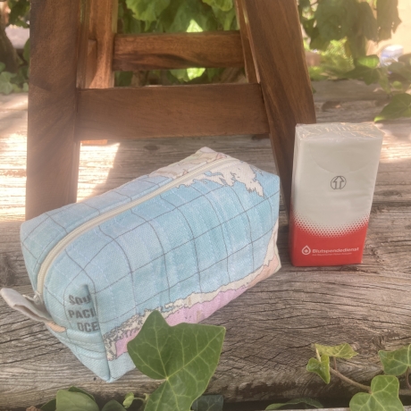 Boxy Bag  | Weltkarte Hellblau | gesteppt  | Taschenorganizer