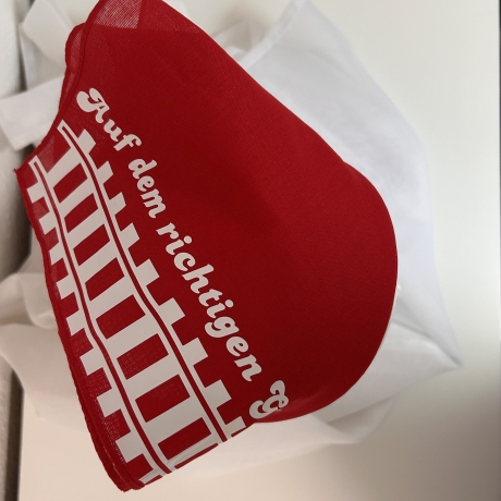 Halstuch Auf dem richtigen Gleis Eisenbahn rot